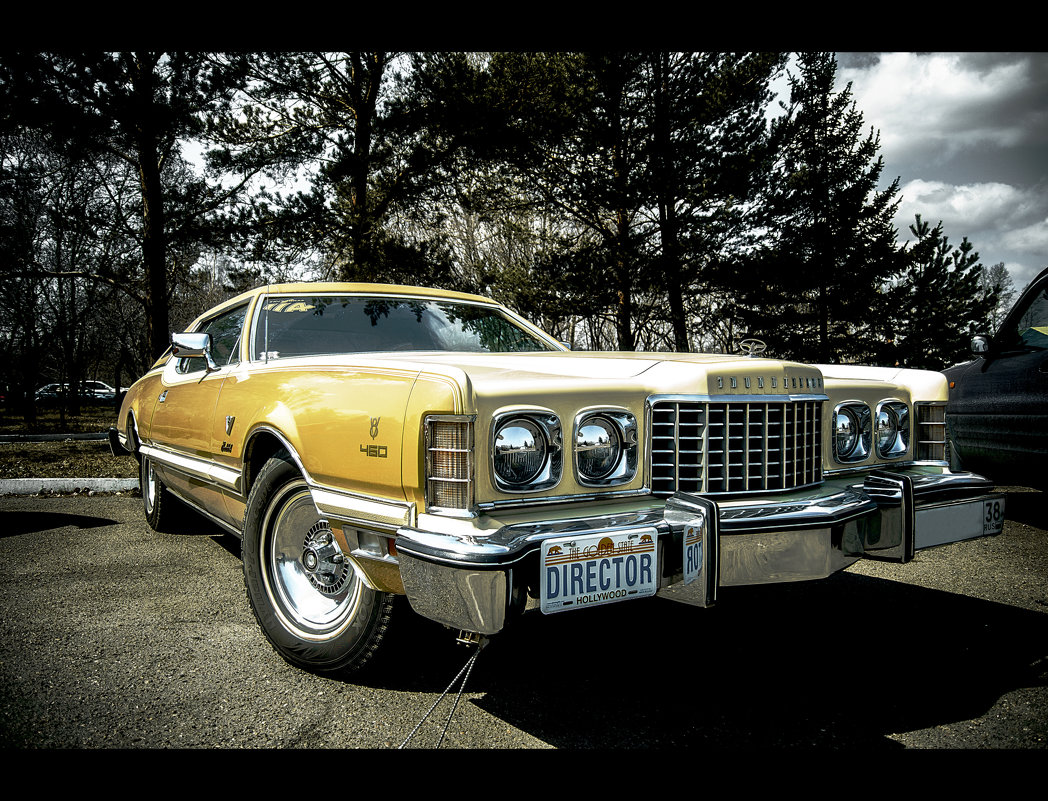 Ford thunderbird - Арсений Чекмарёв