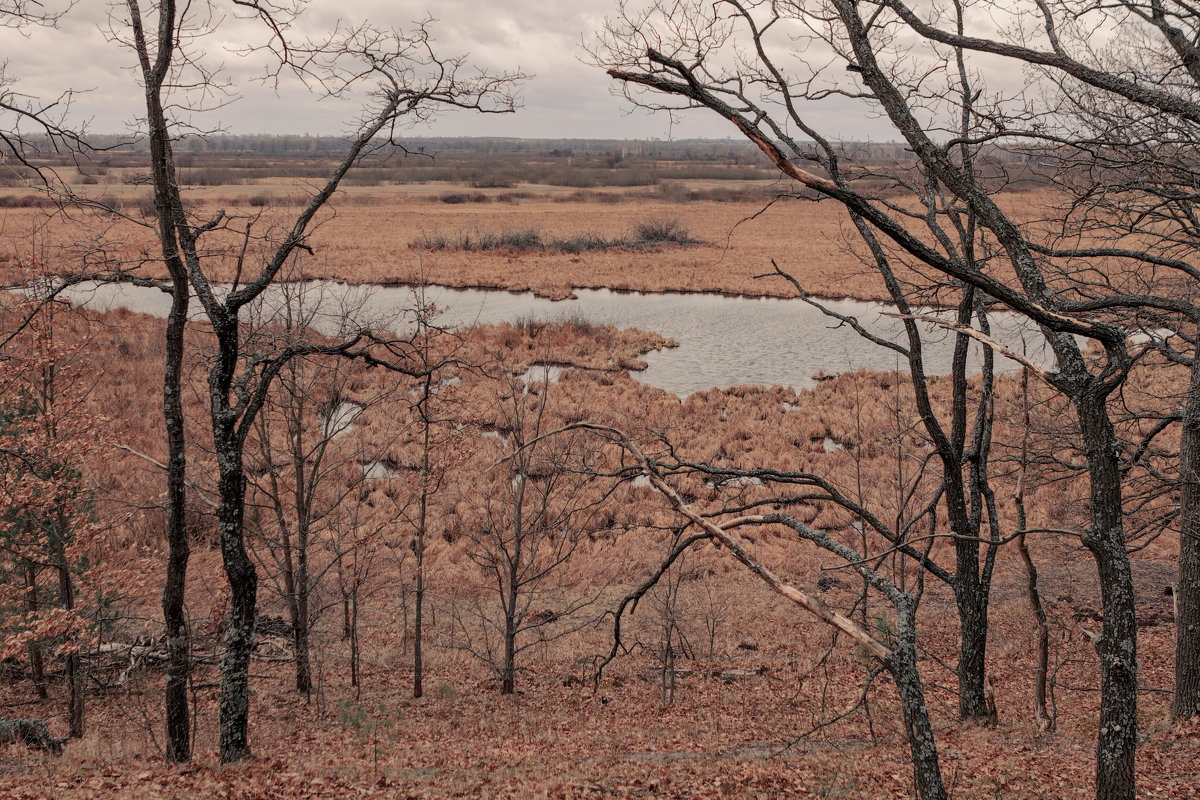 unspoiled land - александр макаренко