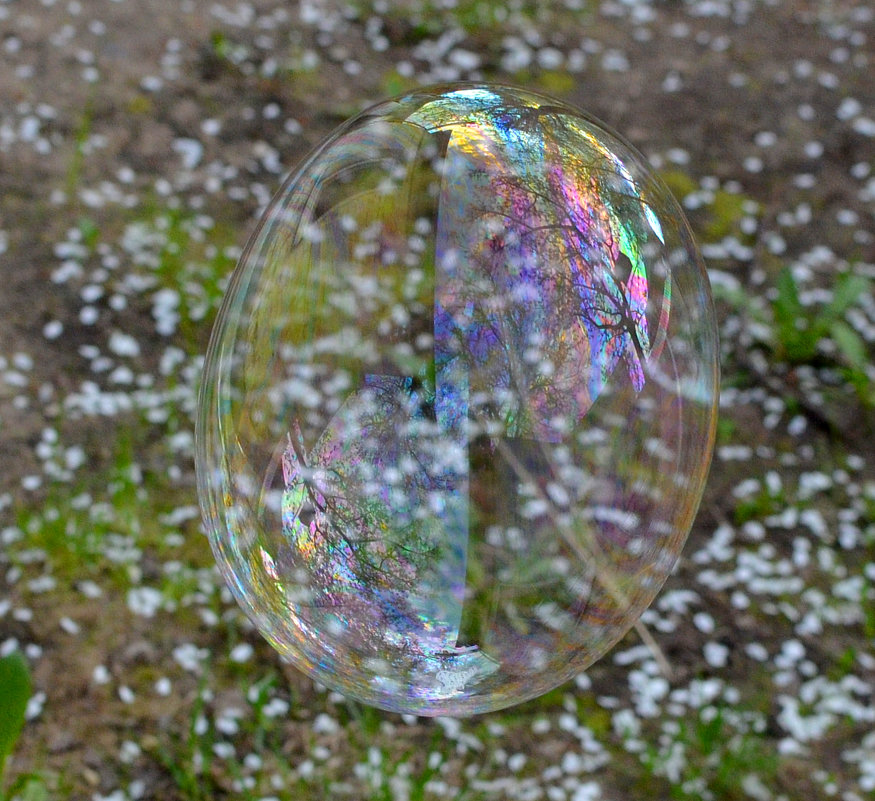 Просто портрет пузыря - NICKIII Михаил Г.
