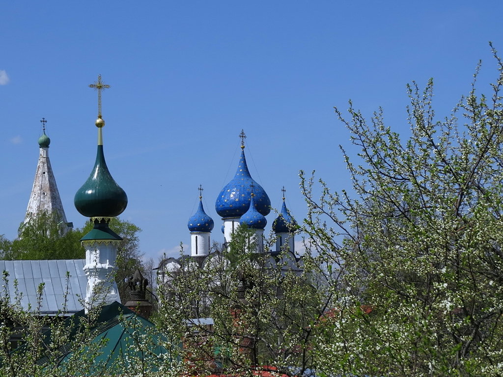 Суздальский кремль,весна - Сергей Цветков