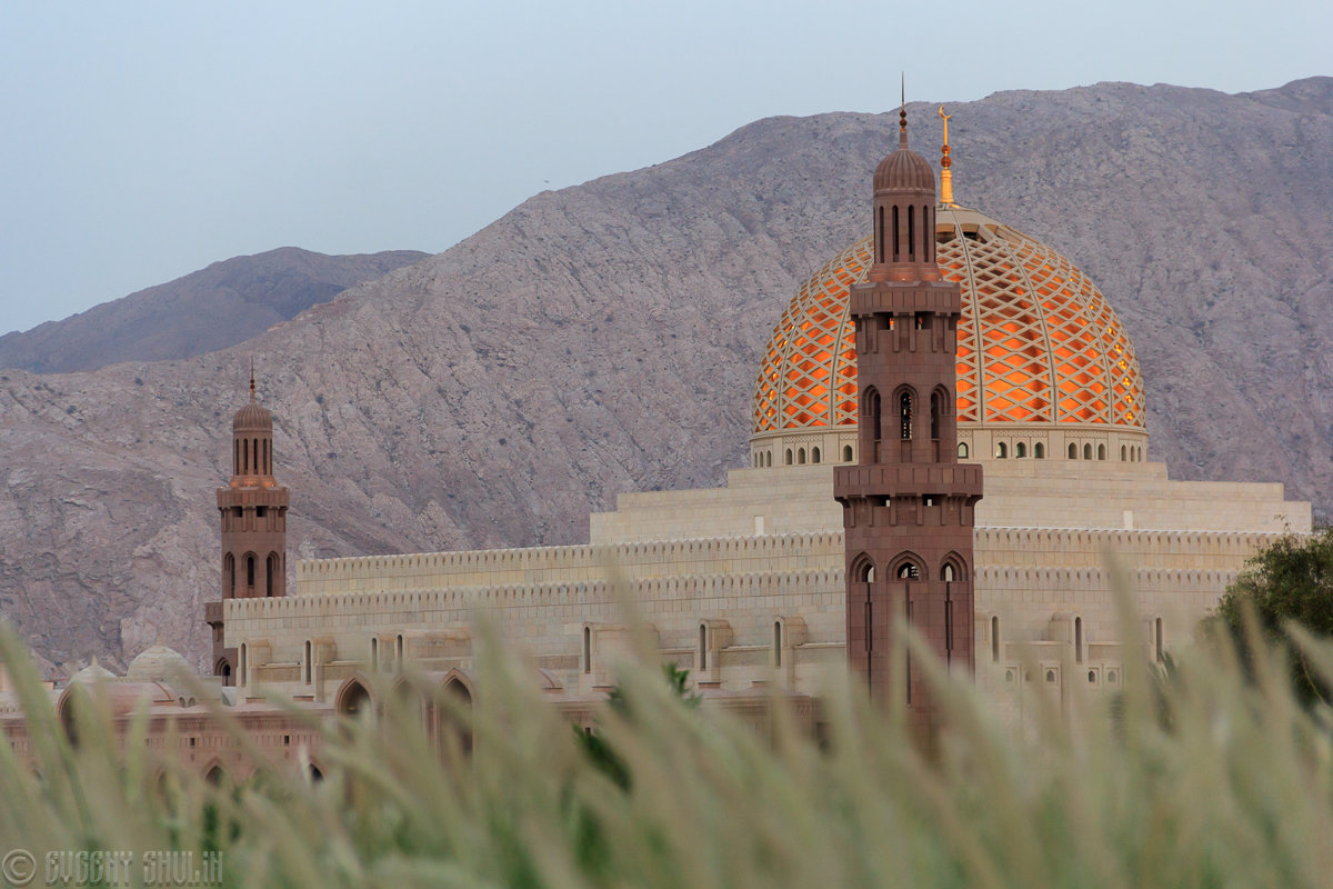 Sultan Qaboos Grand Mosque - Evgeny Shulin