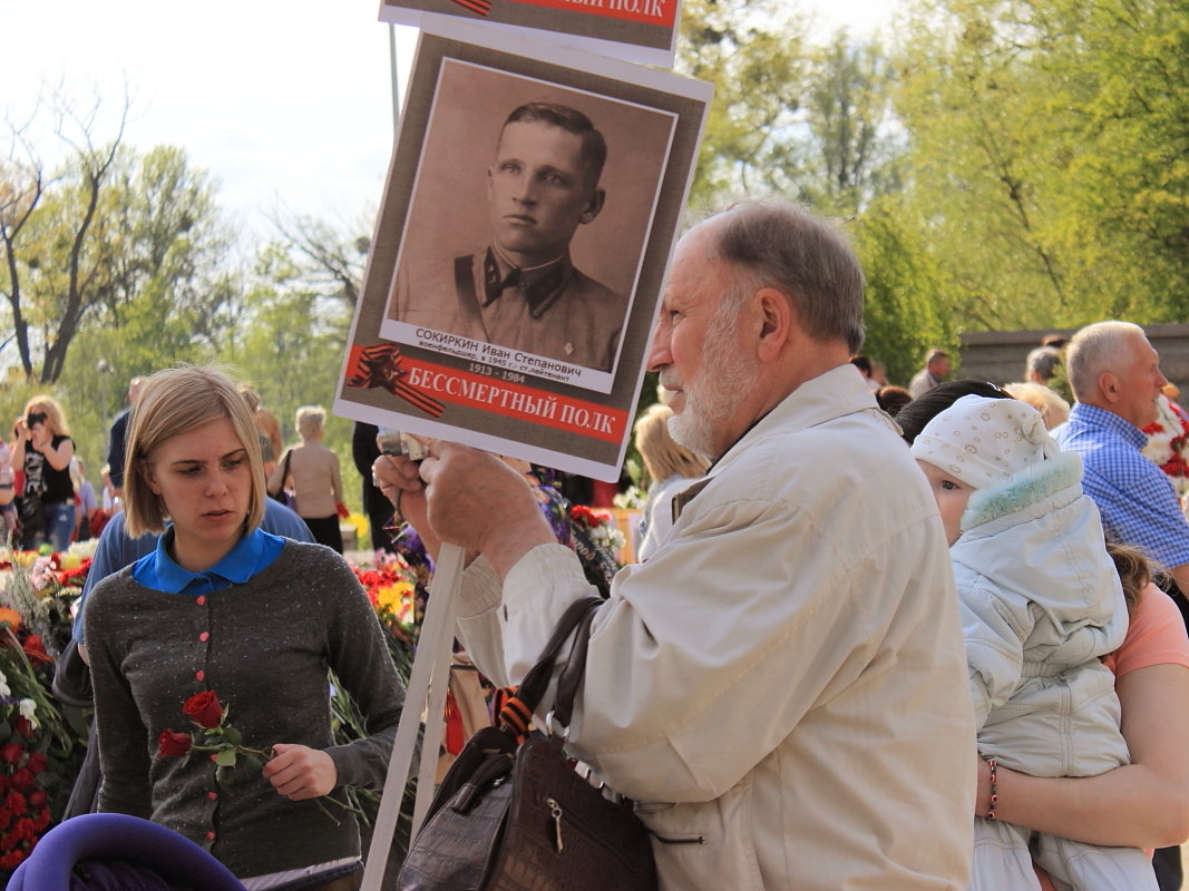 Солдаты бессмертного полка - Андрей Николаевич Незнанов