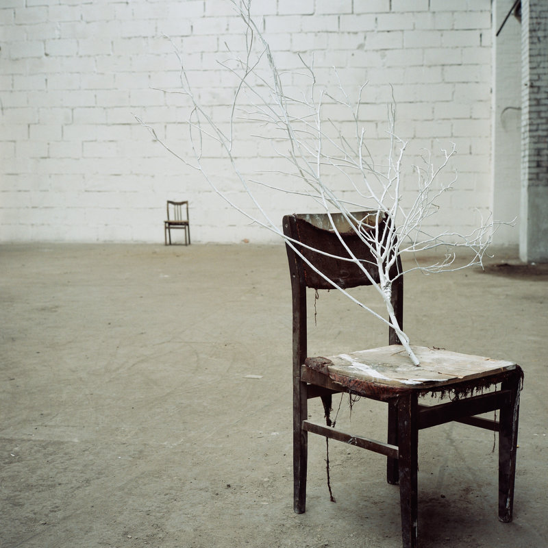 Белое дерево - Наталья Добролеженко
