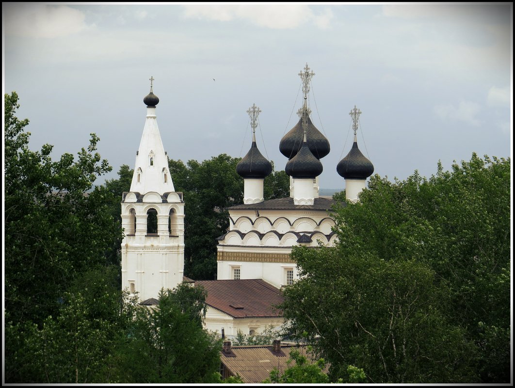 Церковь Спаса Всемилостивого в Белозерске - Елена Швецова