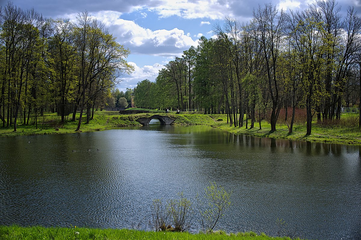 в парке - SvetlanaScott .