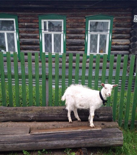 В деревне.... - Елена 