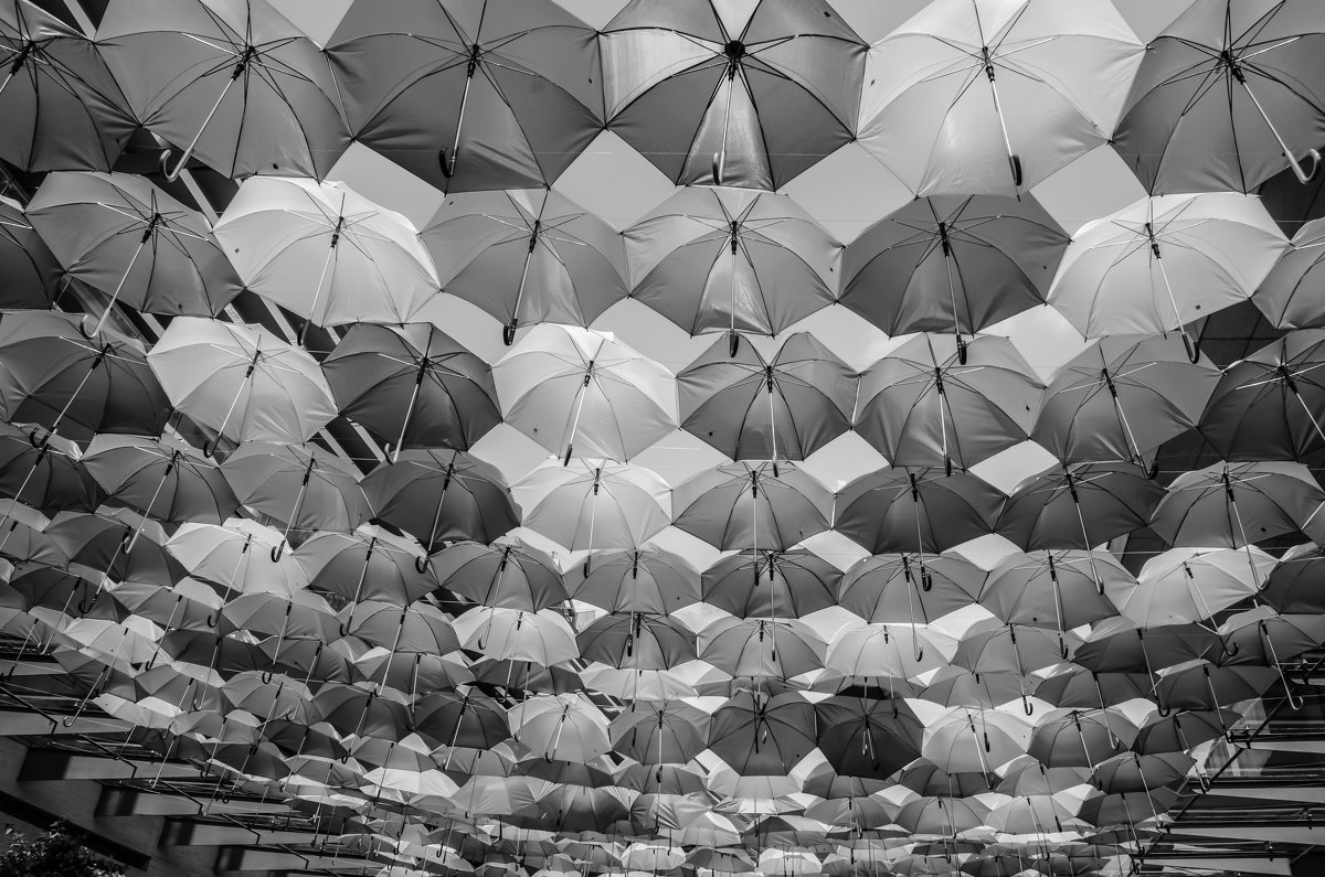 Umbrellas 2 - Maria Vakorina