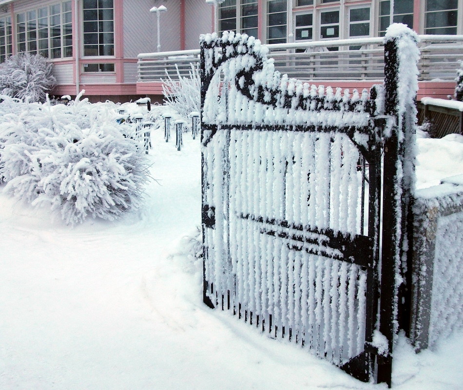 зимние ворота - vovi wahlsten