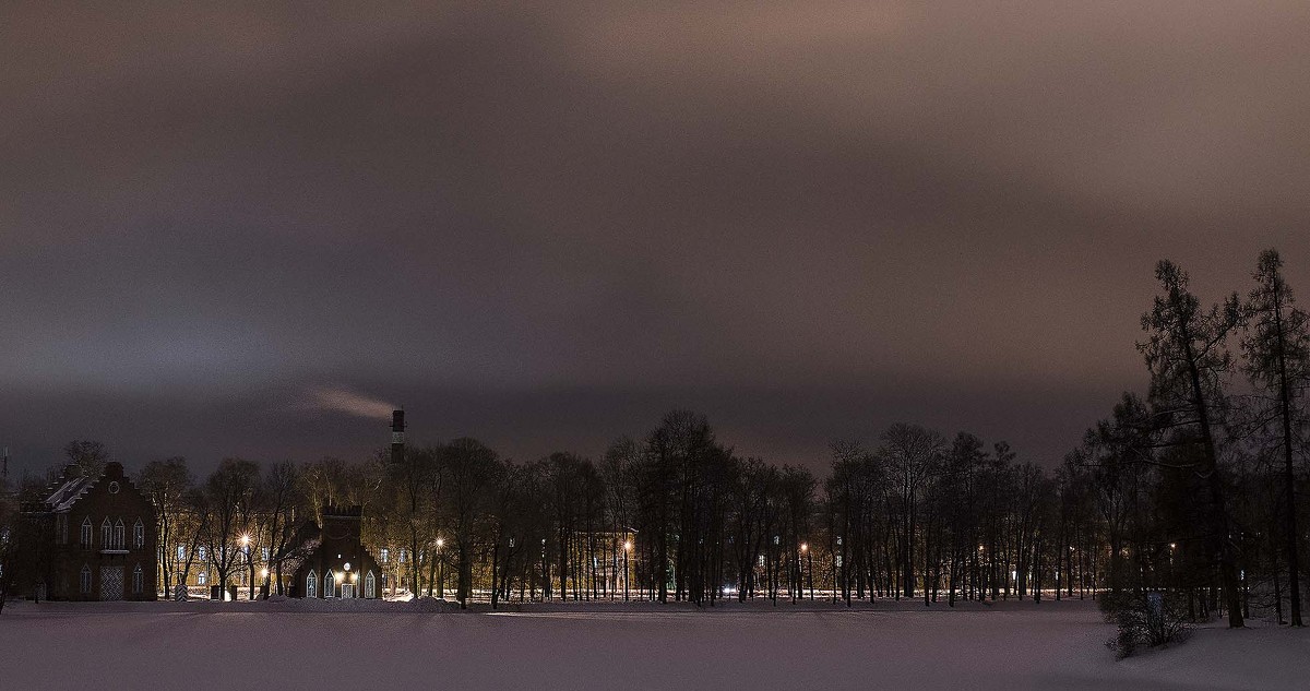 Городские огни - Елена Васильева