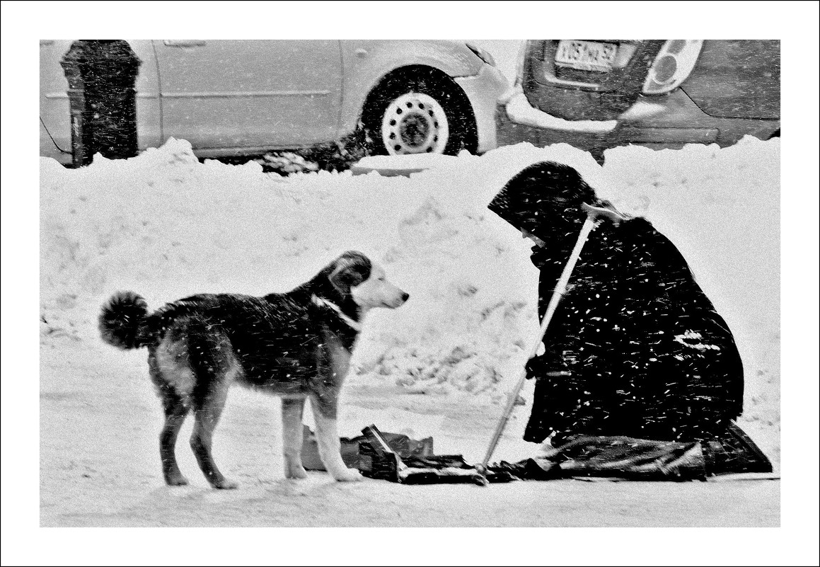 ....сострадание.... - Олечка Гельд