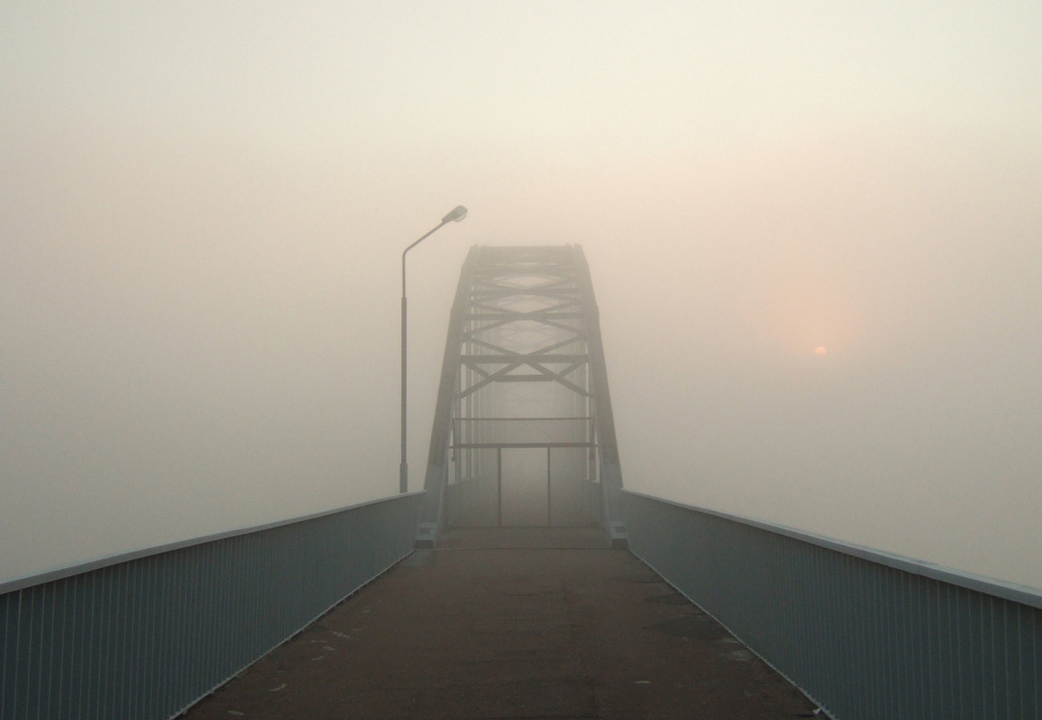 Дорога в туман - Виктор Позняков