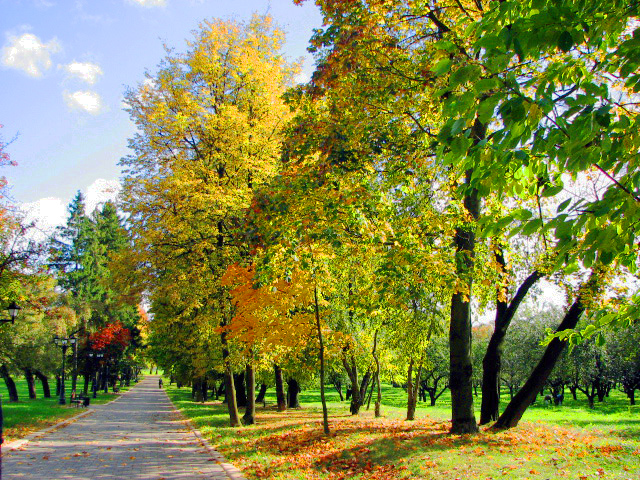 Осень в парке - Николай Климович