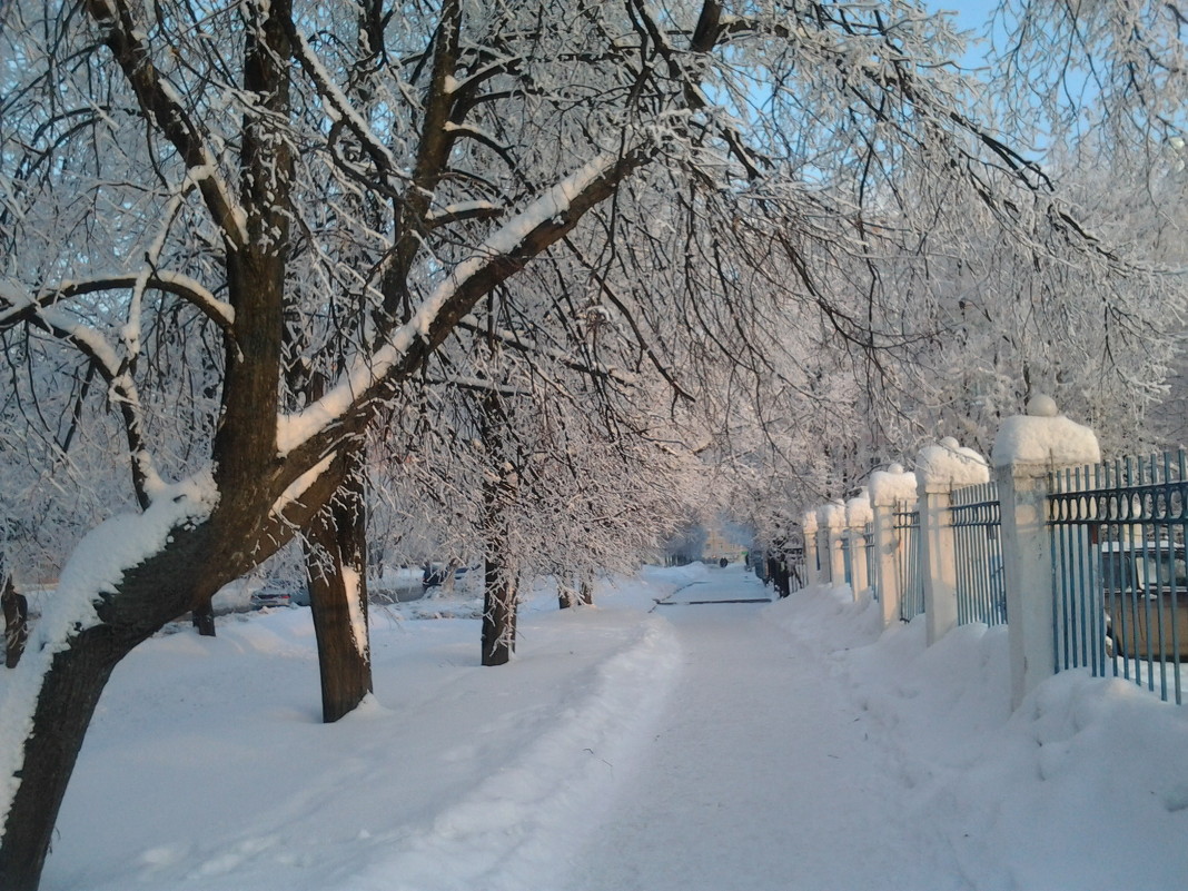 Зима в городе - Елена Бушуева
