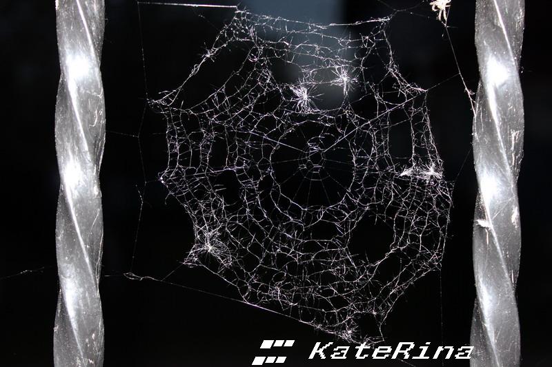 Паутиа - KateRina K