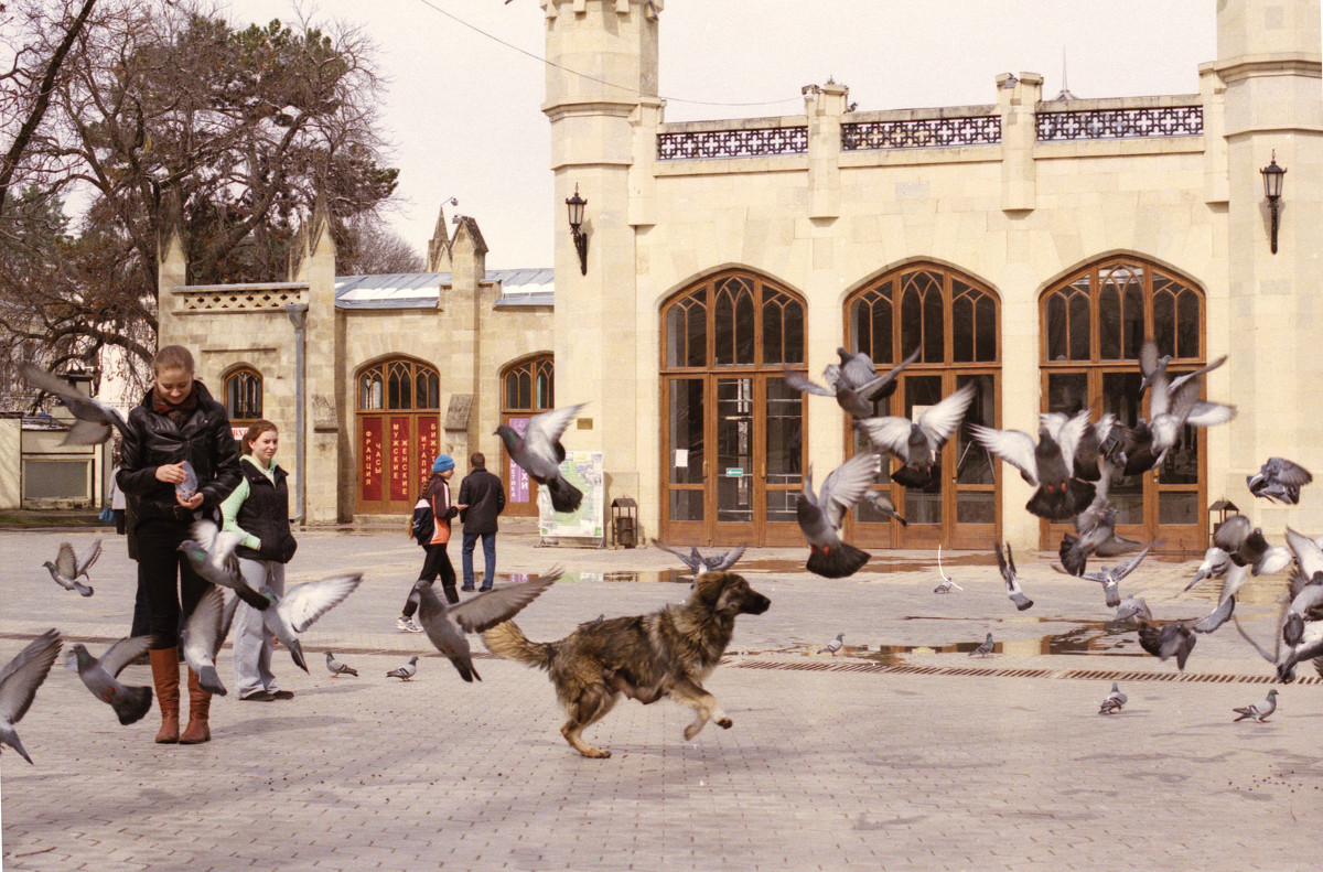 ... (35 mm) - Александр Коновалов