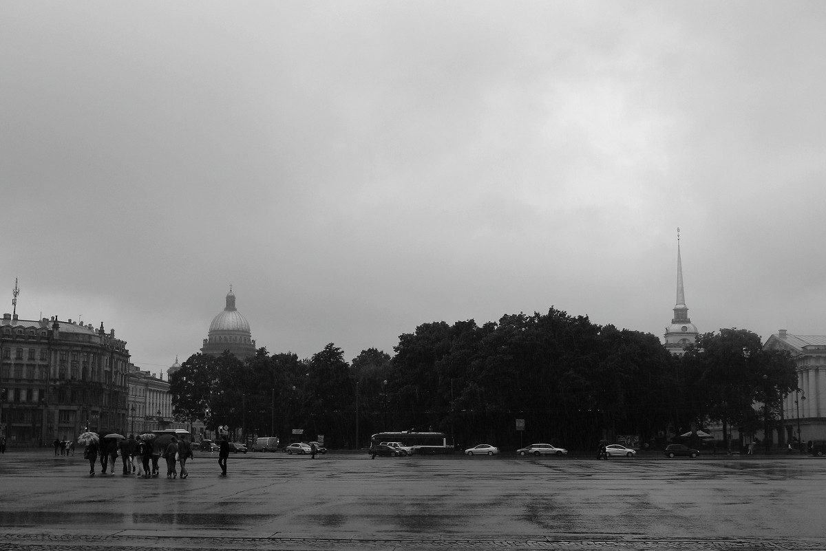 Дождливый СПб - Татьяна Пустовалова