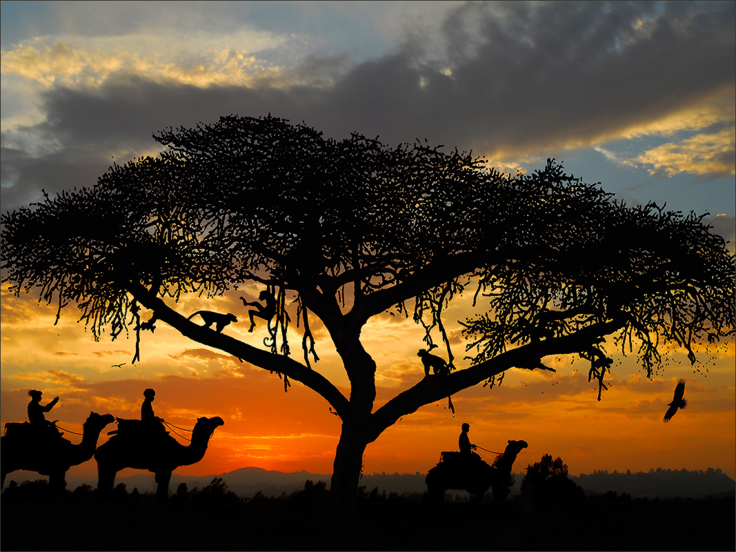 Африканский пейзаж стильное фото