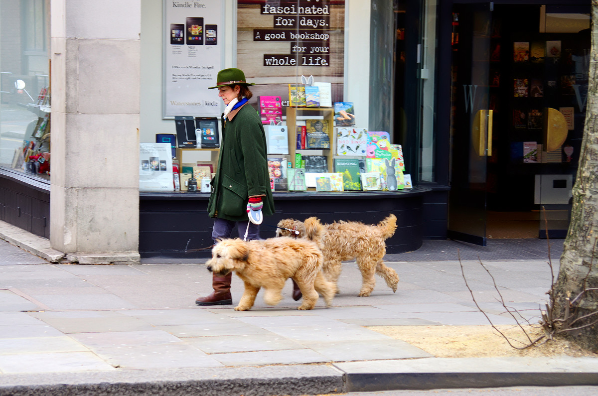 London, Chelsea - Дмитрий Ланковский