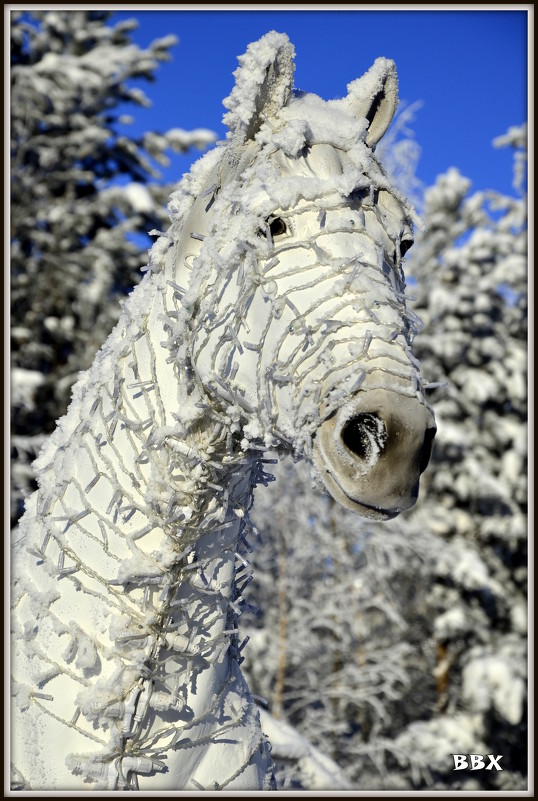 Белая лошадь - Василий Хорошев