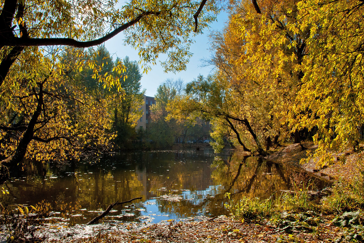 Осенний пейзаж - Денис Масленников