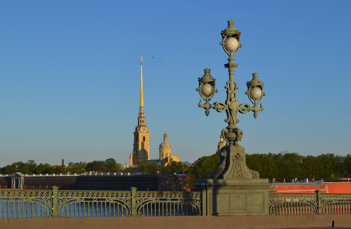 На Троицком мосту - Наталья Левина