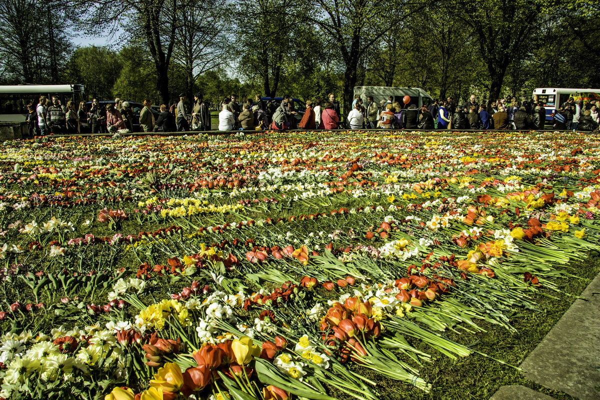 Цветы у памятника. 9 мая - Gennadiy Karasev