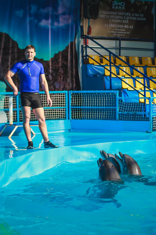 Семья дельфинов и их тренер - Катя Бандуристова