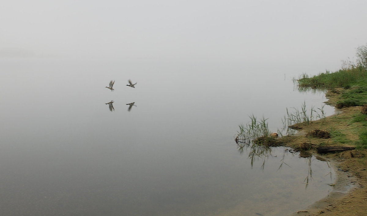 озеро тумана - sergej-smv 