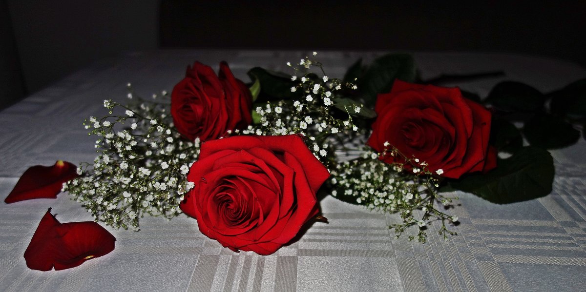 "А ты дарил мне розы красные. И взгляды нежные и страстные..." - Galina Dzubina