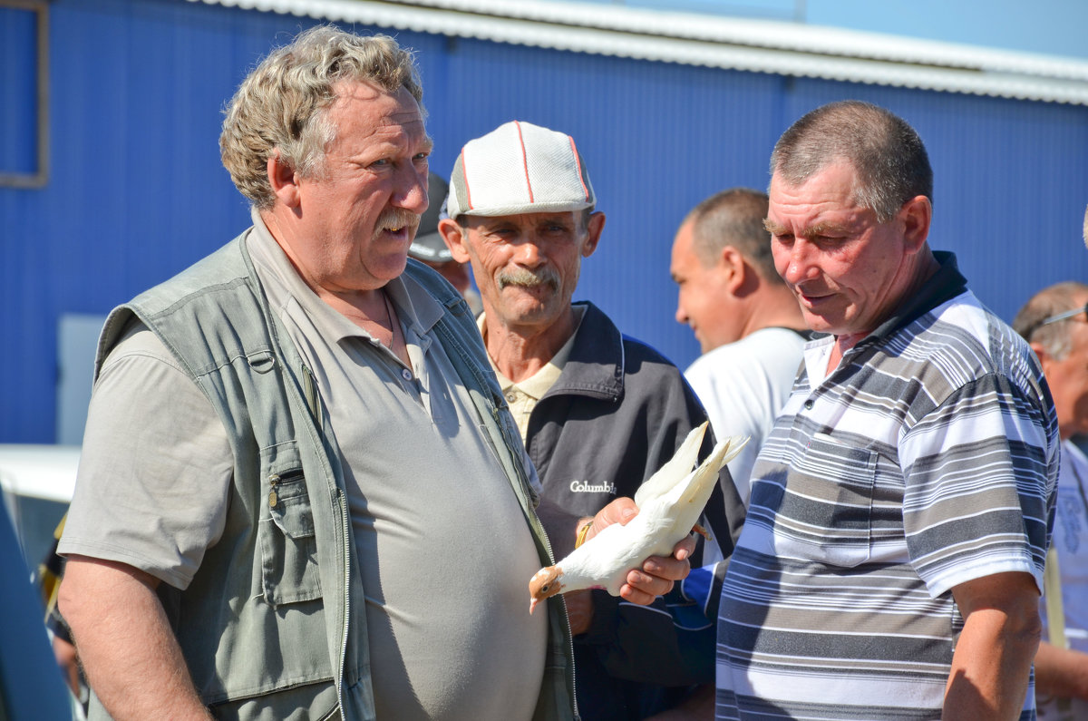 Оценка покупки - Михаил Болдырев 