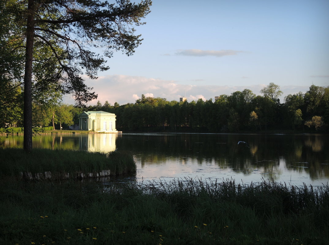 Белое озеро белой ночью - sv.kaschuk 