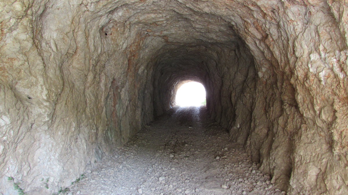 Свет в конце туннеля - Александр Казанцев
