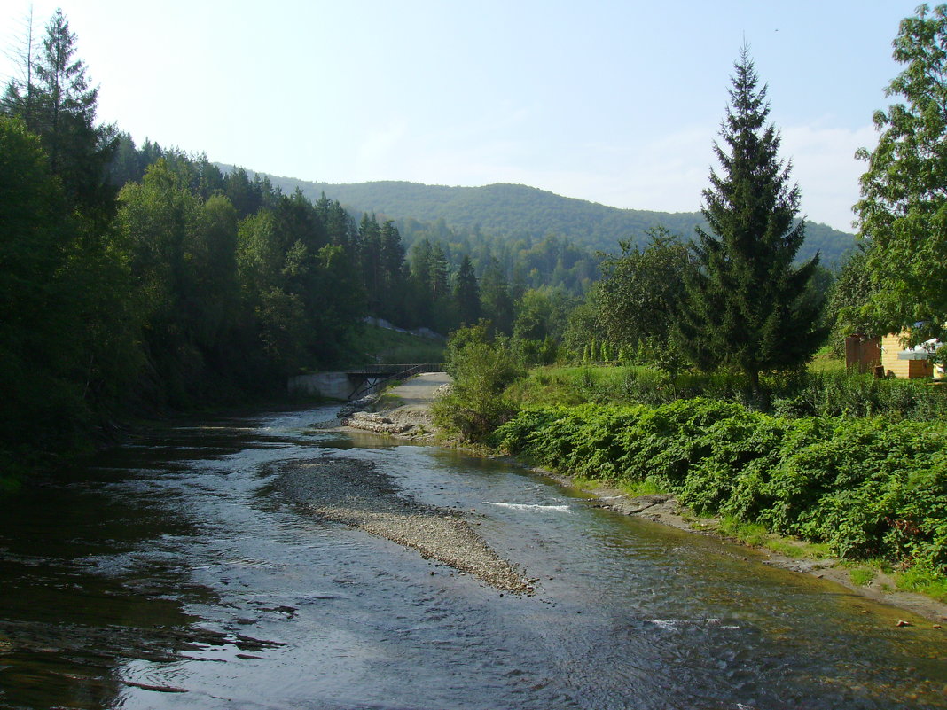 Река  Пистынька  в  Шешорах - Андрей  Васильевич Коляскин