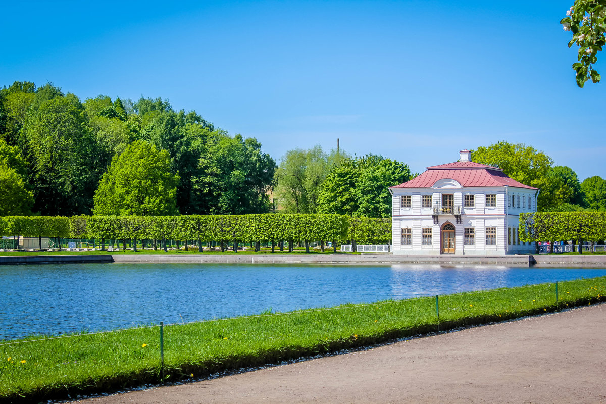 марли в санкт петербурге фото