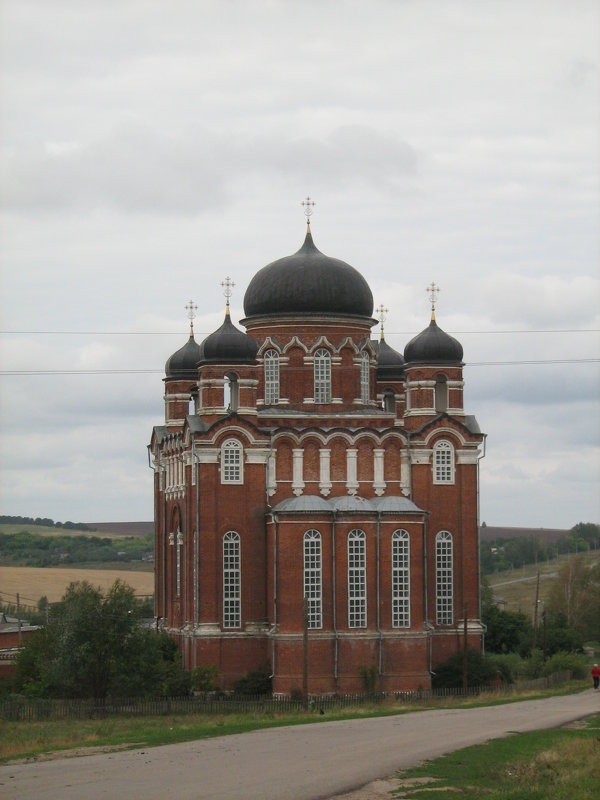 церковь в селе Успенское - Роза Троянская