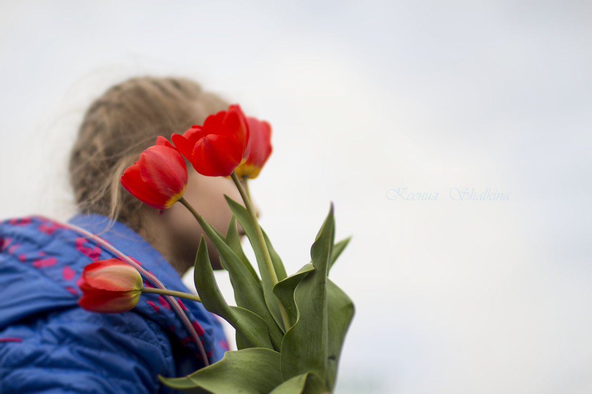 весна прекрасная пора - Ксения Шалькина