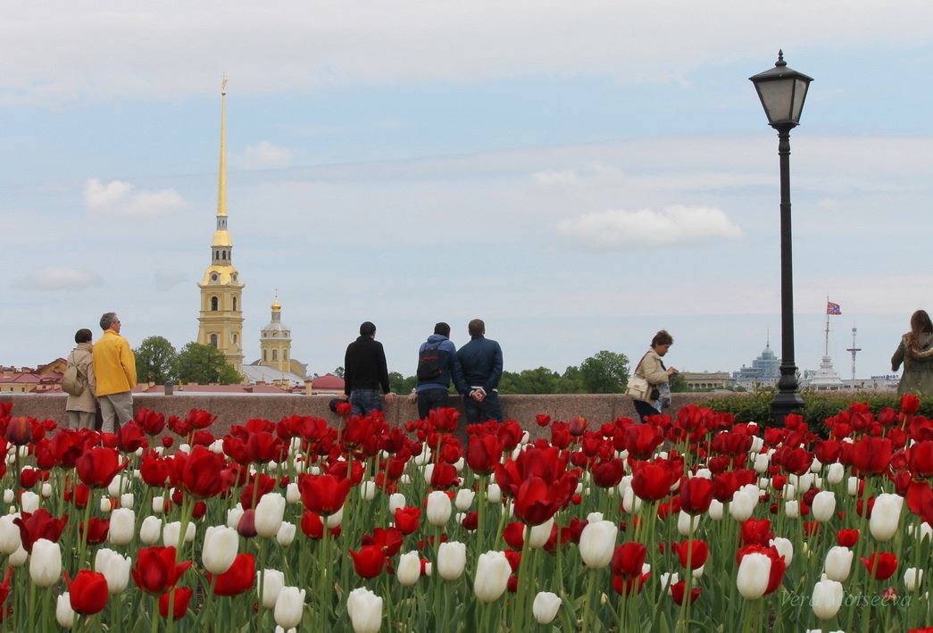 Вот и лето - Вера Моисеева