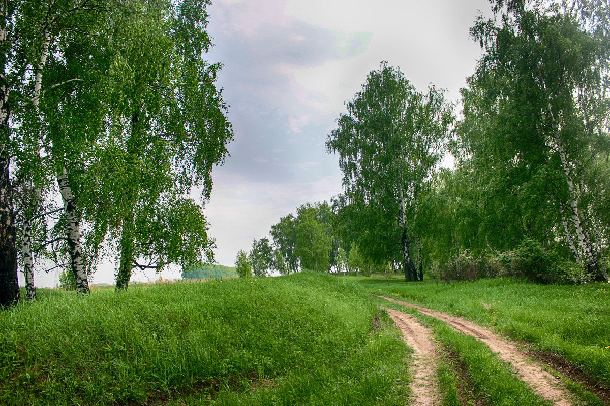 Край родной фото картинки