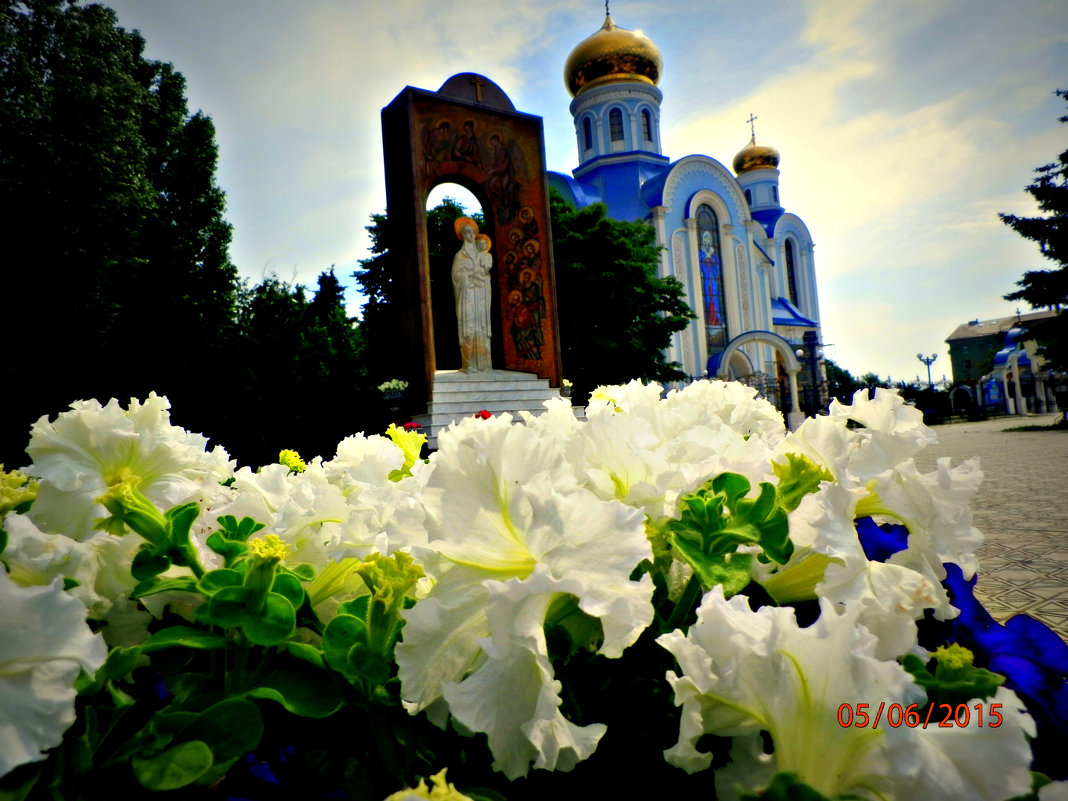 ЛУГАНСК  СЕГОДНЯ - неля  тулузова 