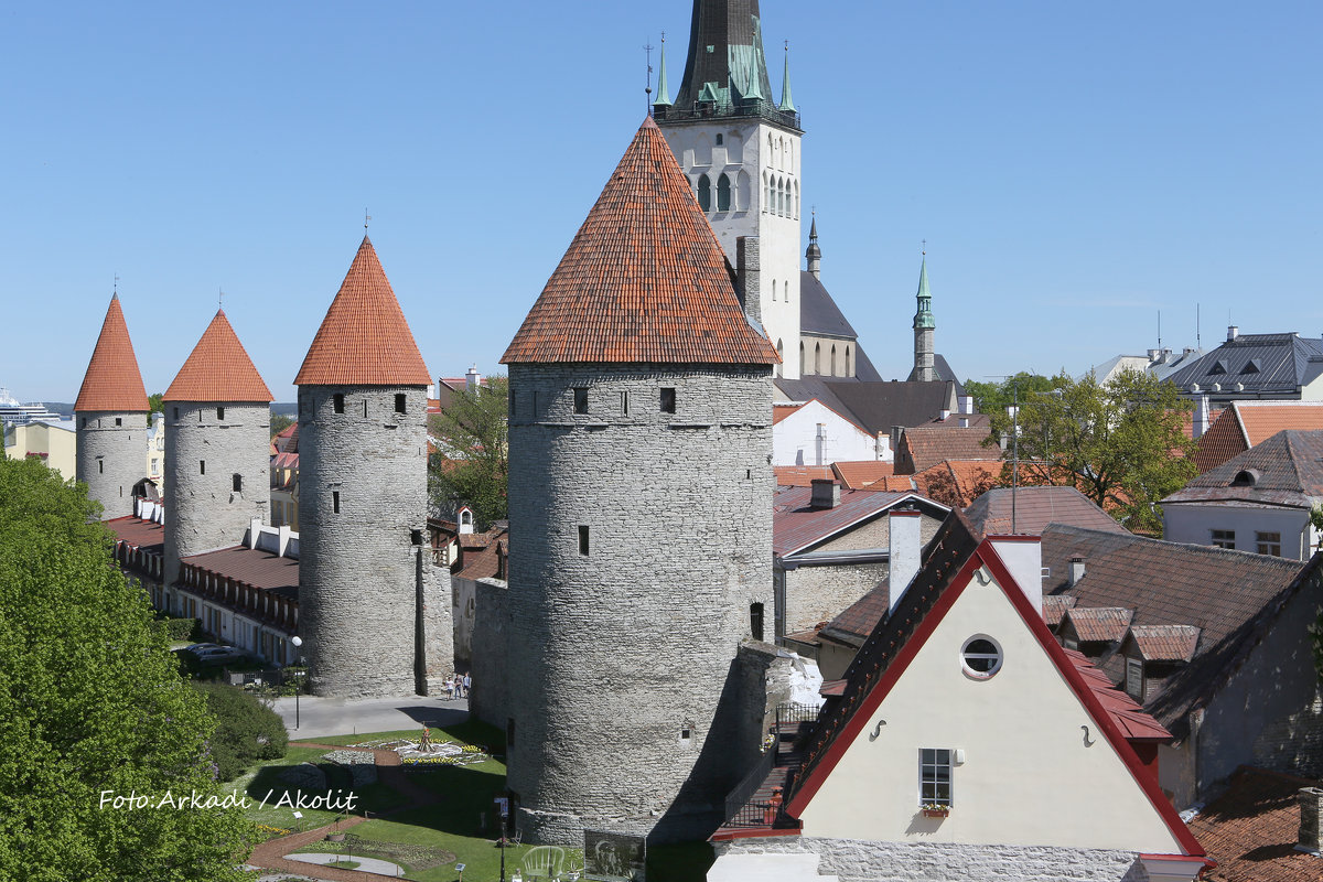 Fotostuudio Akolit, Tallinn, Arkadi Baranov - Аркадий  Баранов Arkadi Baranov