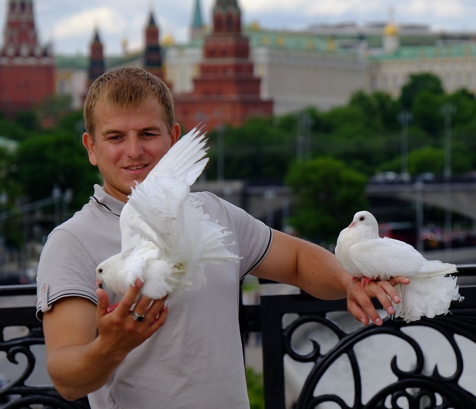 Любовь и голуби - Алексей Казаков