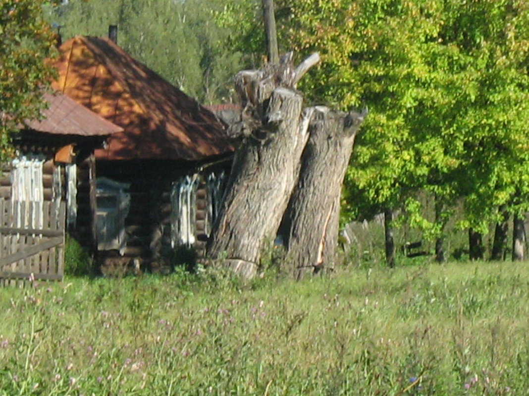 деревенька - Роза Троянская