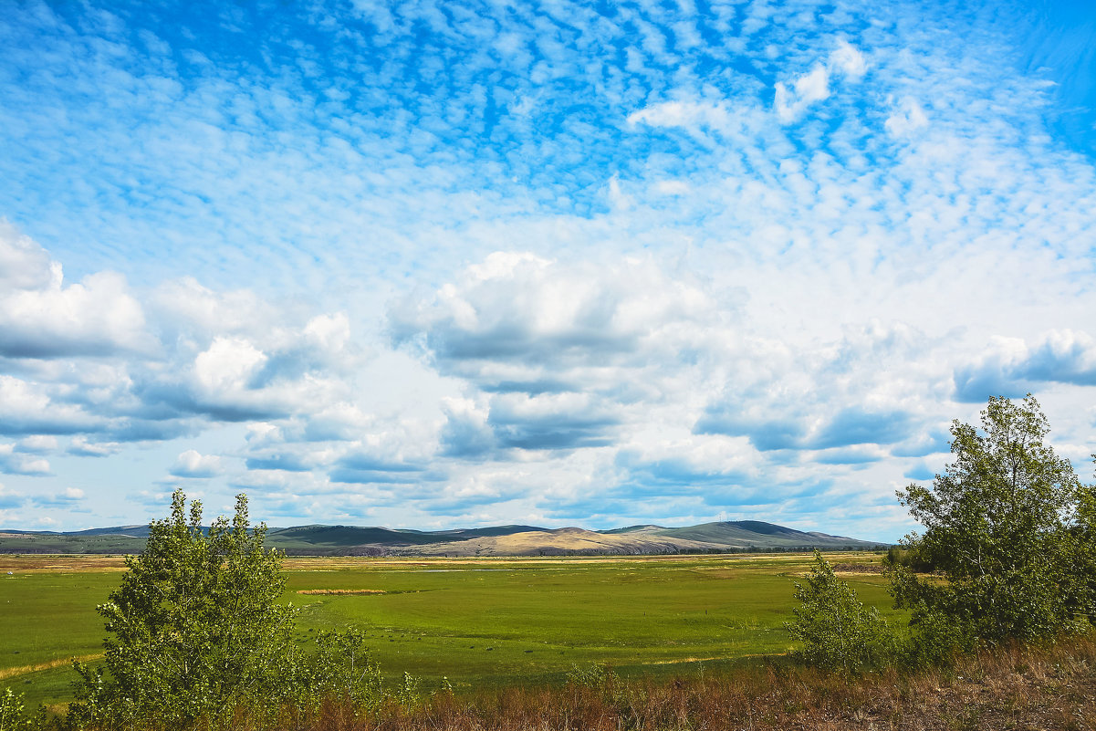 Облака над полем - юрий Амосов