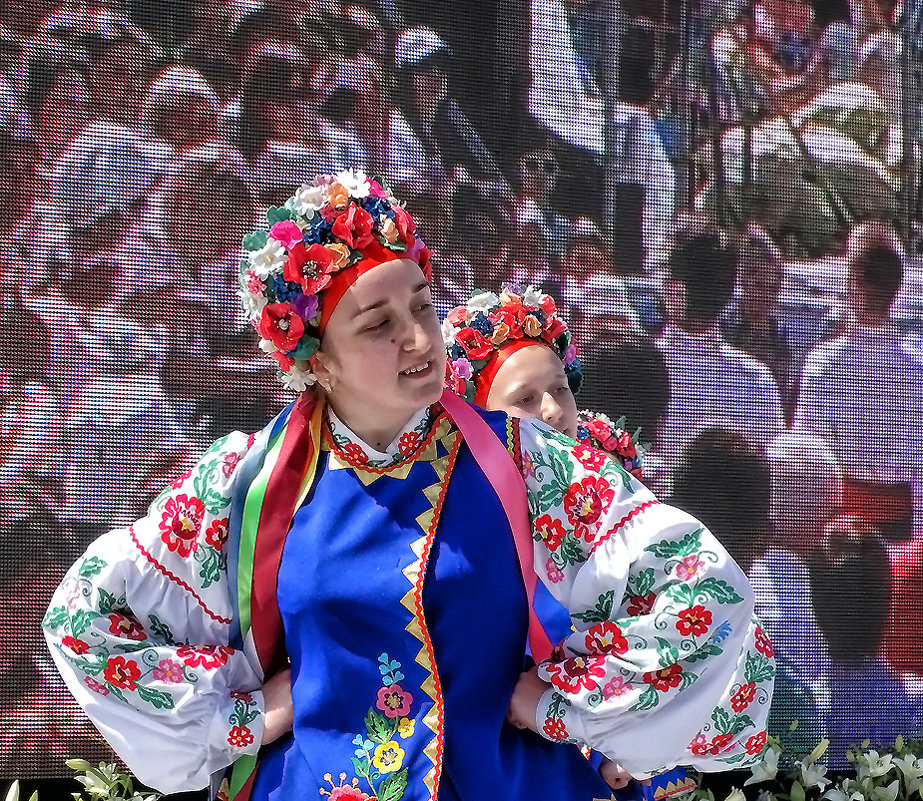 "Наталка-Полтавка" - Владимир Бровко