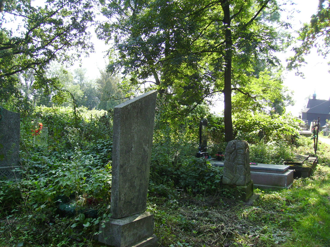 Старое  кладбище  в  Коломые - Андрей  Васильевич Коляскин