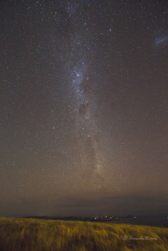 Milky way - Wattletree -