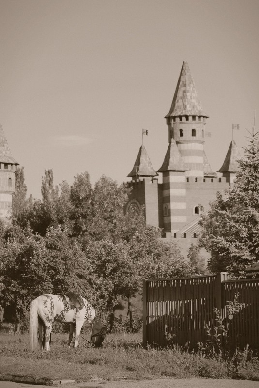 Замок и рыцарский конь - Андрей Белецкий