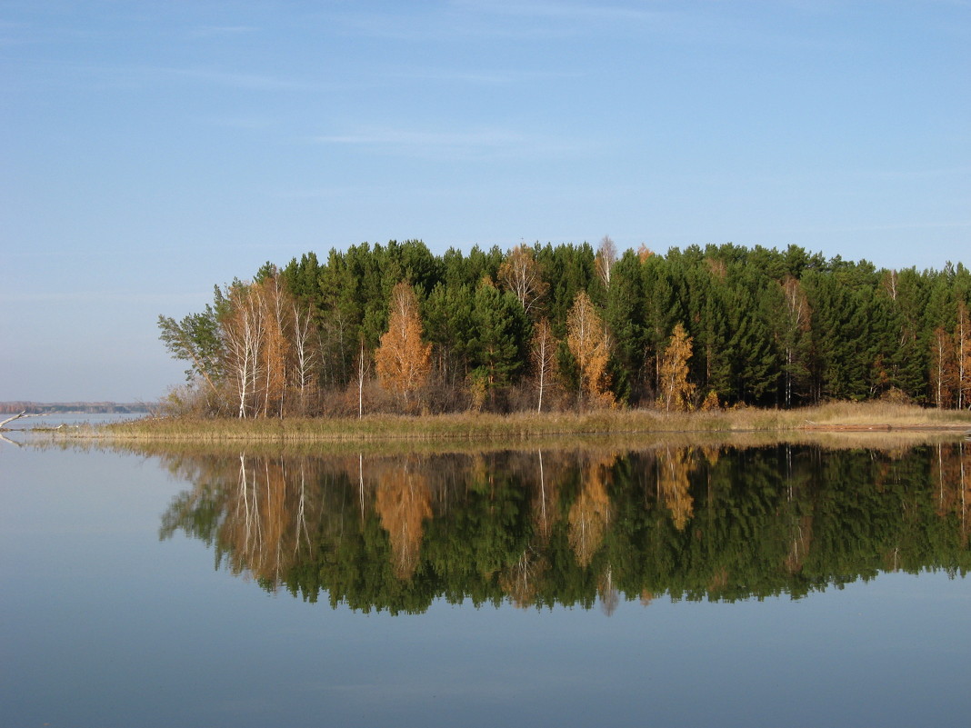 Караканский бор и Обское море - ВЕРА КРУГЛОВА