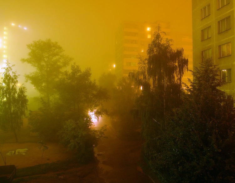 Ночной туман - Алексей Митин