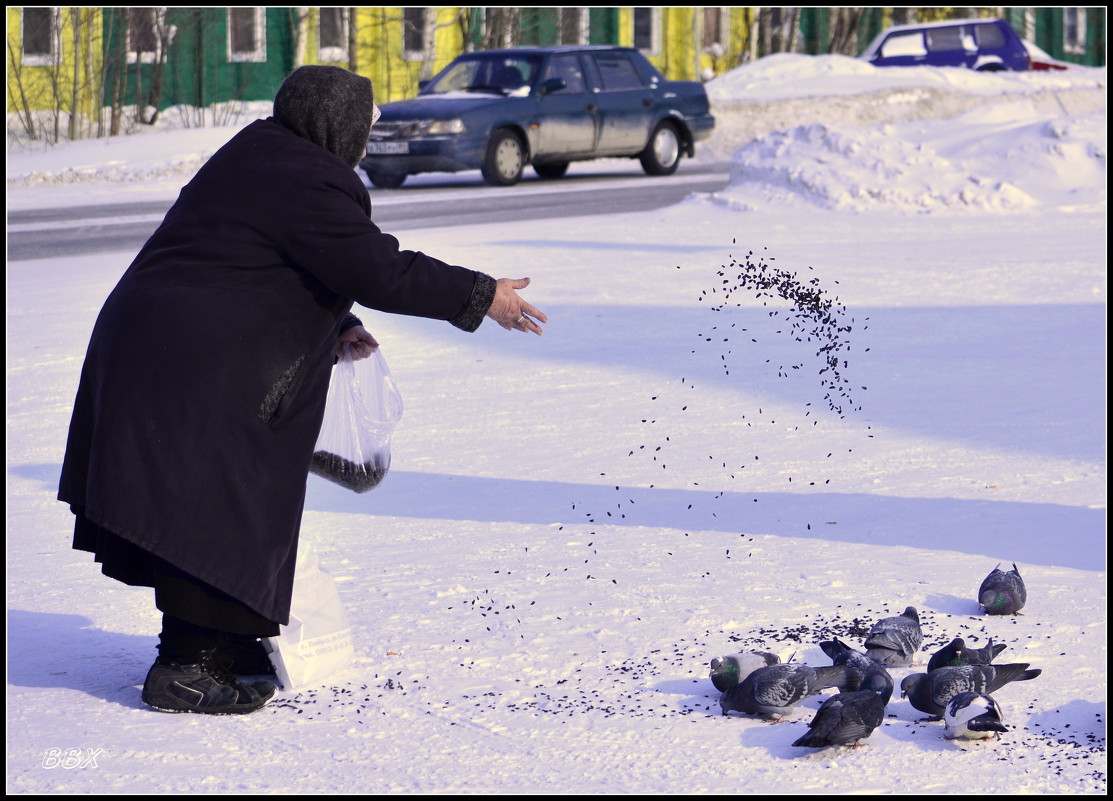 Кушайте, родимые! - Василий Хорошев